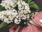 вредные привычки