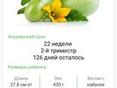 Фотография 2019-10-23 12:41:28