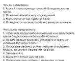 У нас прям как в описании