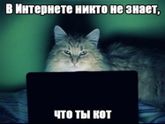 В интернете никто не знает, что ты - БОТ! Уйти или приколоться?