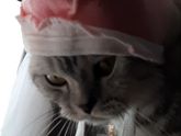 Наш "первенец" ? первый