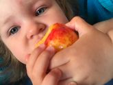 Укус какой то живности