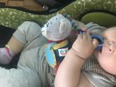 Поездка