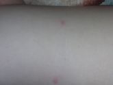 Девочки подскажите что это