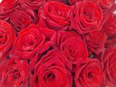 Приятности от мужа❤️🌹