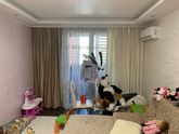 Какие шторы вы бы выбрали?