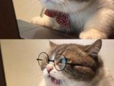 ? ? ? На