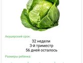 32 недели! Ура!
