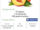 Моим персиками 13 недель??
