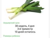 Осталось всего 10 дней