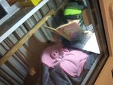 Что почитать с ребенком? (в сообщество Православная мама)