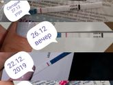 Динамика по тестам.