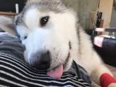 Об ожиданиях которые мы не оправдываем...
