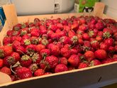 Наесться вкусного перед госпитализацией