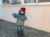 Дзен пропал