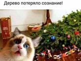 Фотография 2019-12-18 13:29:57