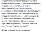 Аллергия, выяснили на что.