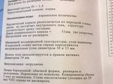 Первый скрининг