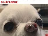 Фотография 2020-02-16 14:29:38