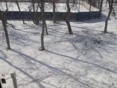 Весна на дворе