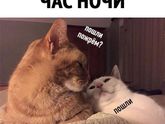Когда вы родственные души))