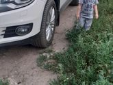 Сыну,почти 2,4 и что
