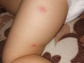 Девочки, завтра попробуем попасть