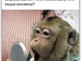 И опять про меня))))