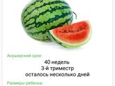 ПДР