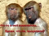 Вы дома марафет наводите или лохматой быть креативно?