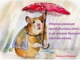 Девочки страны что у