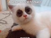 ? я примерно выгляжу сейчас вот так же!
