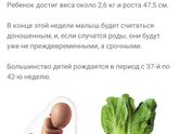 Последняя неделя 8го месяца 🤗