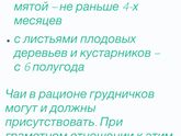 Чай