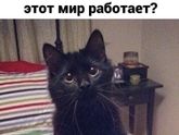 😂
