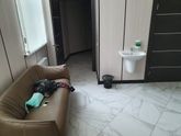Семейная вылазка в