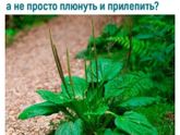 Фотография 2019-07-19 11:44:27