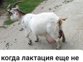 Это мы сегодня в