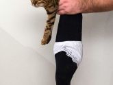 КОТОштаны, КОТОколготки - мода такая!