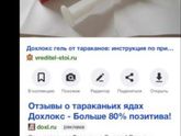 Тараканы,Липецк