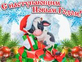 С наступающим, девочки!)