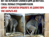 нафиг нам этот ЦИРК!!?