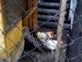 Всем большое спасибо за