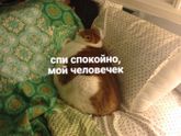 Фотография 2019-12-13 08:47:49