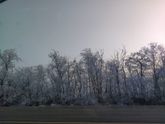 Краснодар - Санкт-Петербург - Краснодар. 1.
