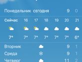 В такую погоду и
