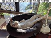 Мой девиз на сегодня ?