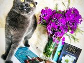Про Книги. Читаете ли Вы? Лёгкое чтиво.