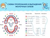 Скол ко зубиков должно быть к 1 году и 5 месяцам?