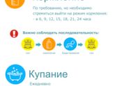Режим дня